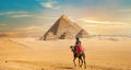 Queen Cleopatra - 7 days GEM visit- 5 stars accomodation